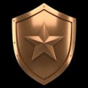 Bronze Shield Badge