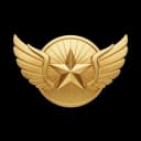 Gold Medallion Badge